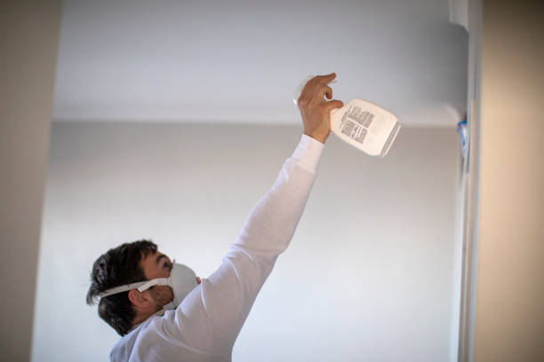 Best Local Mold Removal Service  in Bryn Athyn, PA